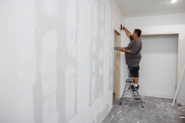 Best Post-Construction Mold Inspection  in Maple Heights, OH