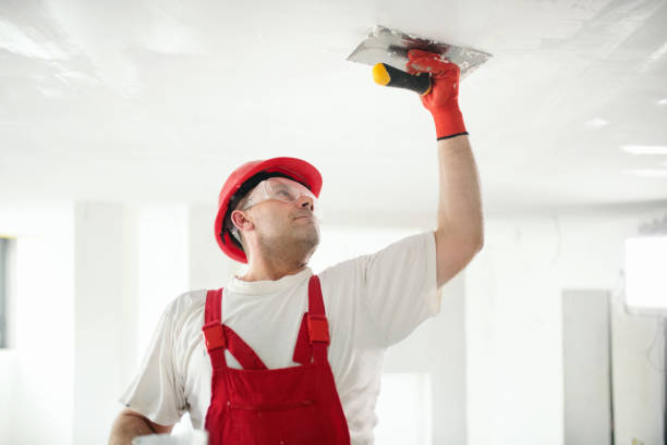 Maple Heights, OH Mold Removal Company