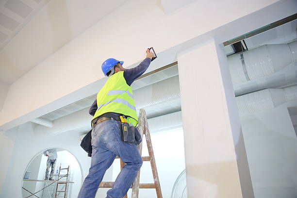 Best Basement Mold Removal  in Maple Heights, OH